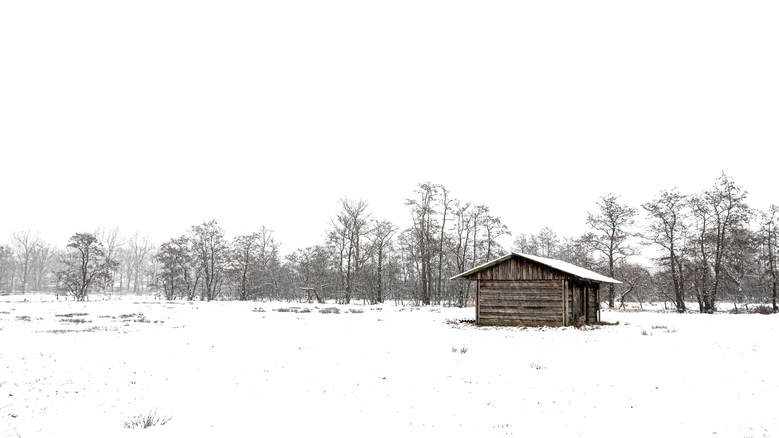 1/40 sec. bij f / 2,8 - ISO 200 - 24 mm