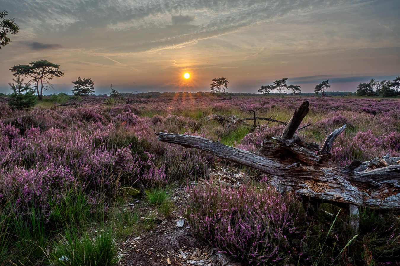 1/125 sec. bij f / 11 - ISO 100 - 24 mm